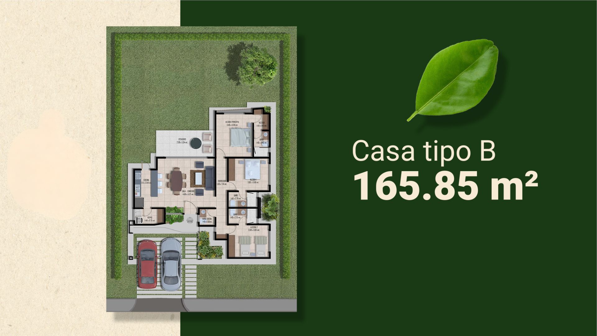 PROYECTO CAYALA 11..jpg