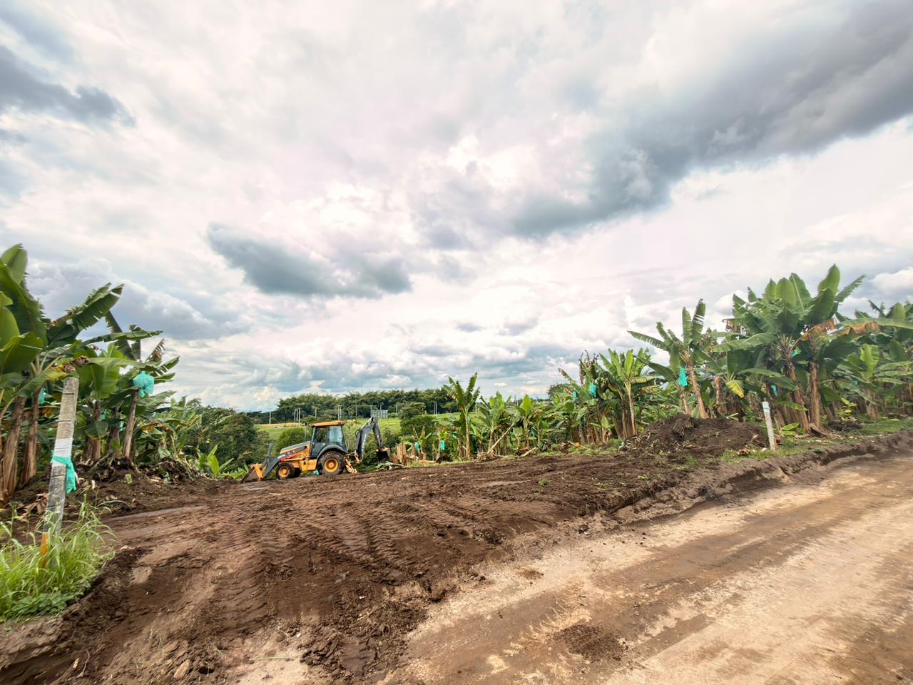 PROYECTO CAYALA 18..jpeg