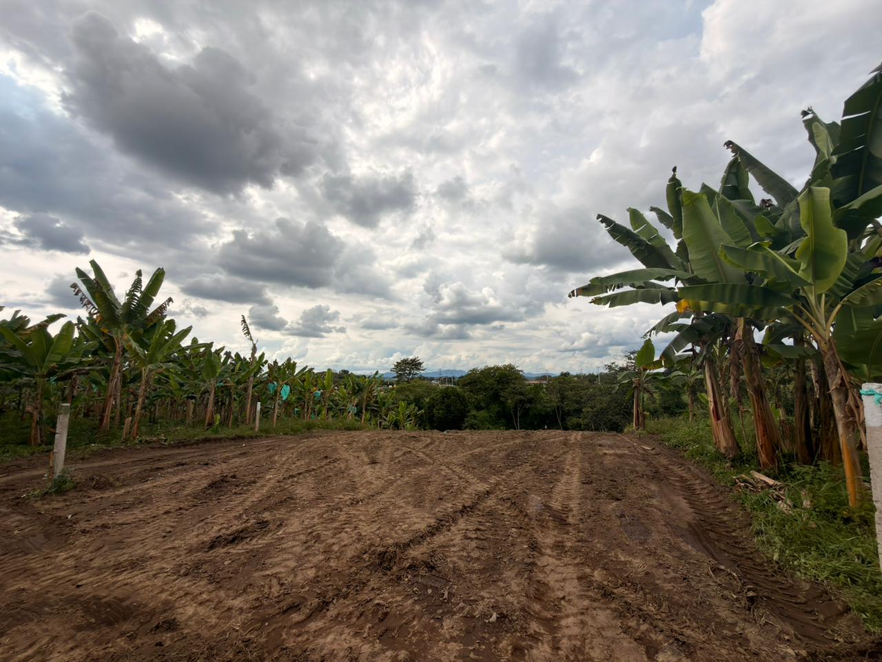 PROYECTO CAYALA 15..jpeg