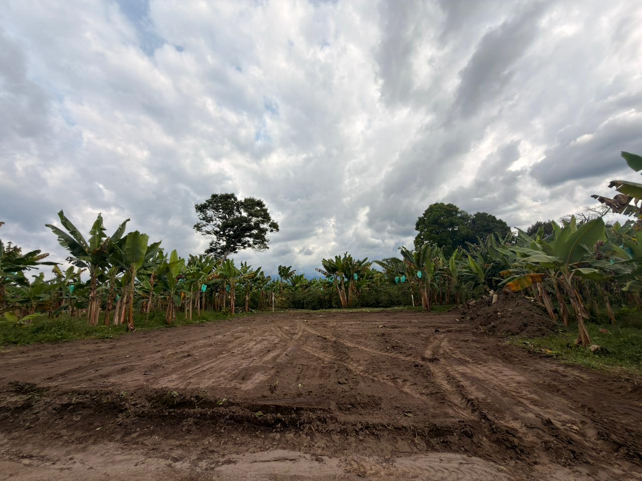 PROYECTO CAYALA 19..jpeg