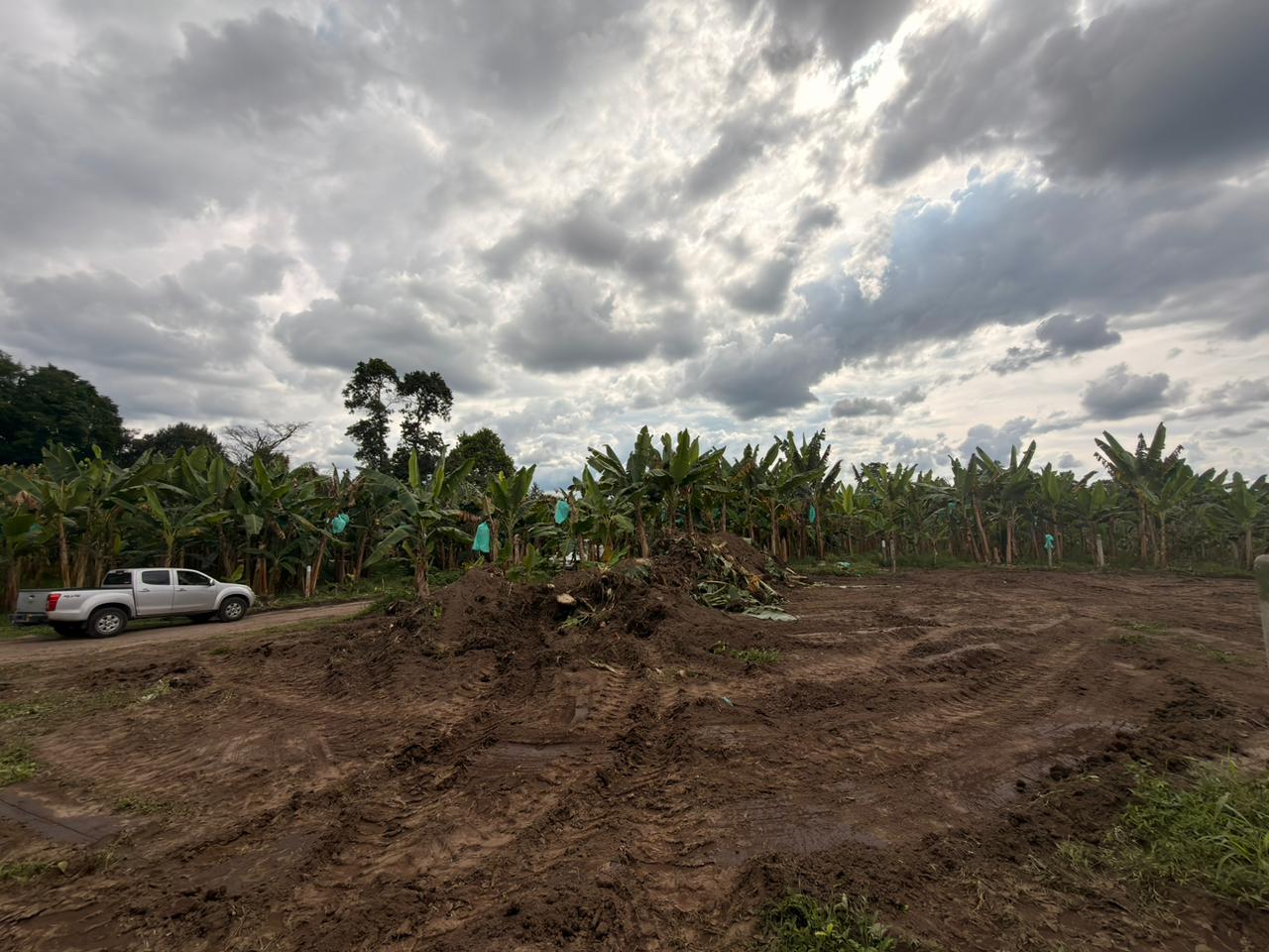 PROYECTO CAYALA 20..jpeg