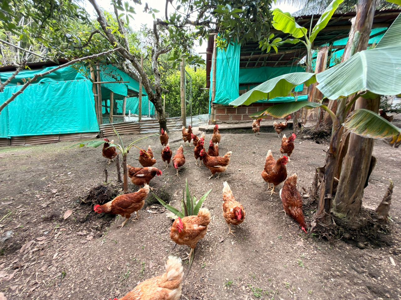 SE VENDE CASA CAMPESTRE  24..jpeg