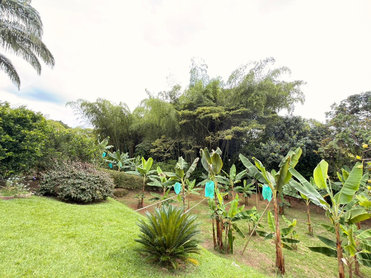 SE VENDE CASA CAMPESTRE  26..jpeg