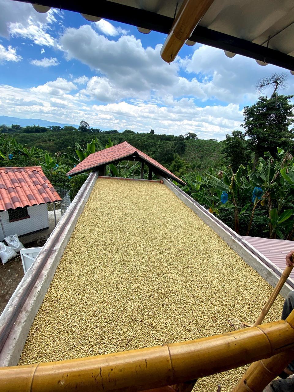 SE VENDE FINCA FILANDIA - QUIMBAYA  25..jpeg