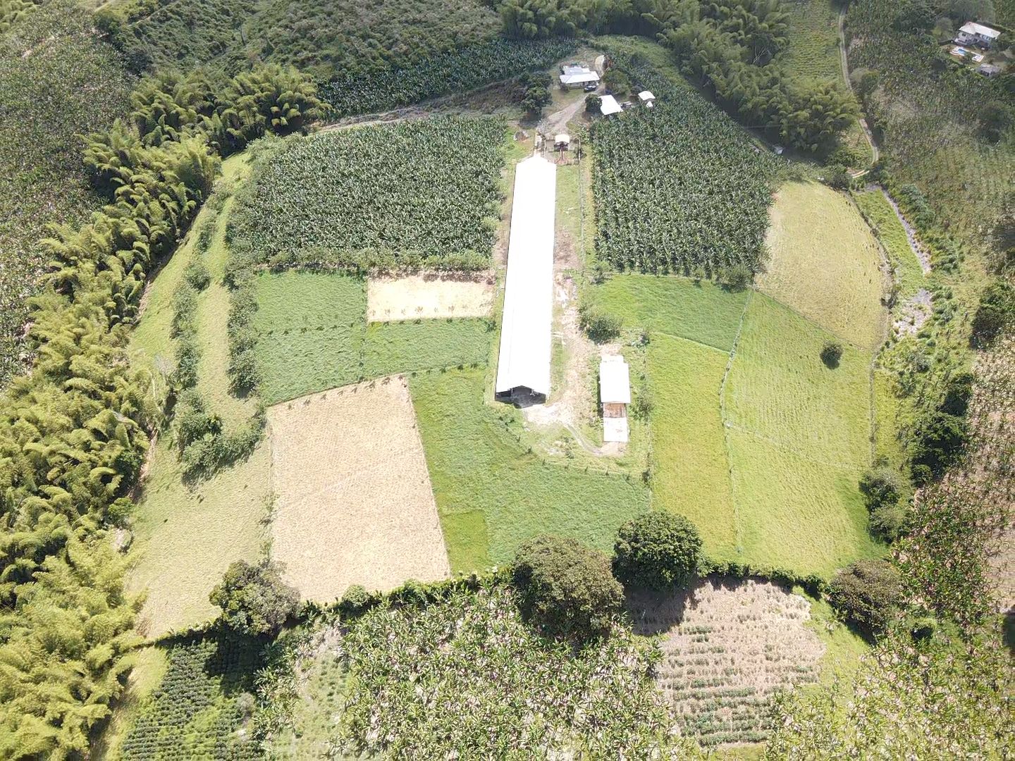 SE VENDE FINCA EN MONTENEGRO 2..jpeg