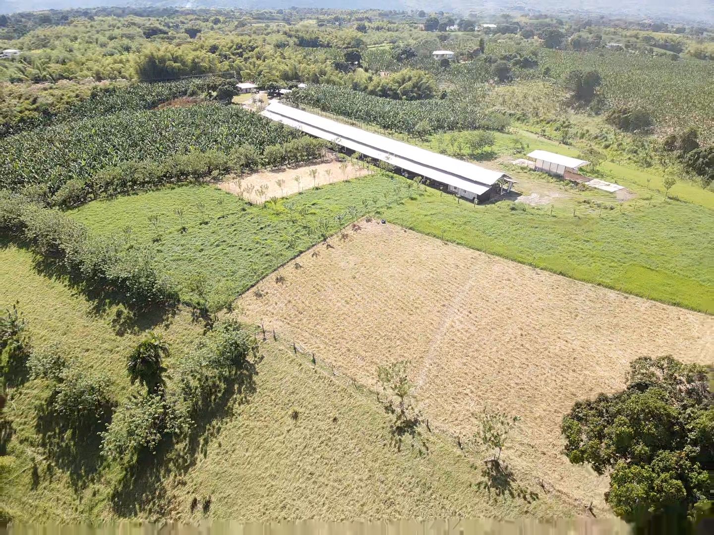 SE VENDE FINCA EN MONTENEGRO 3..jpeg
