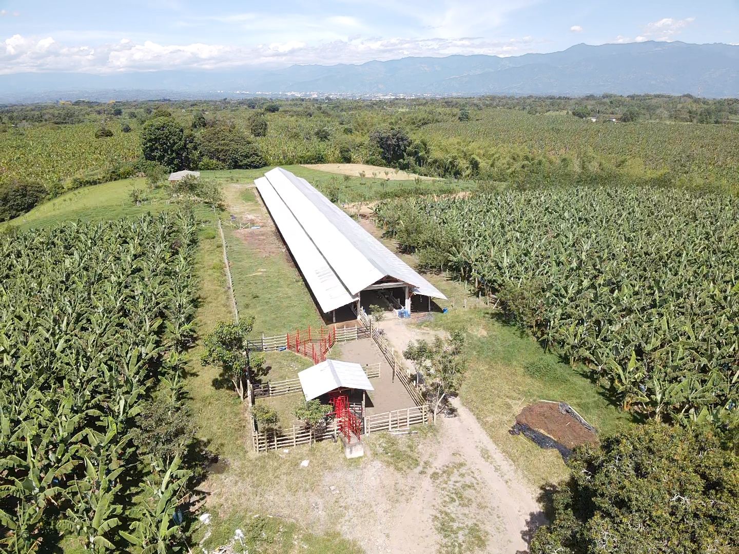 SE VENDE FINCA EN MONTENEGRO 7..jpeg