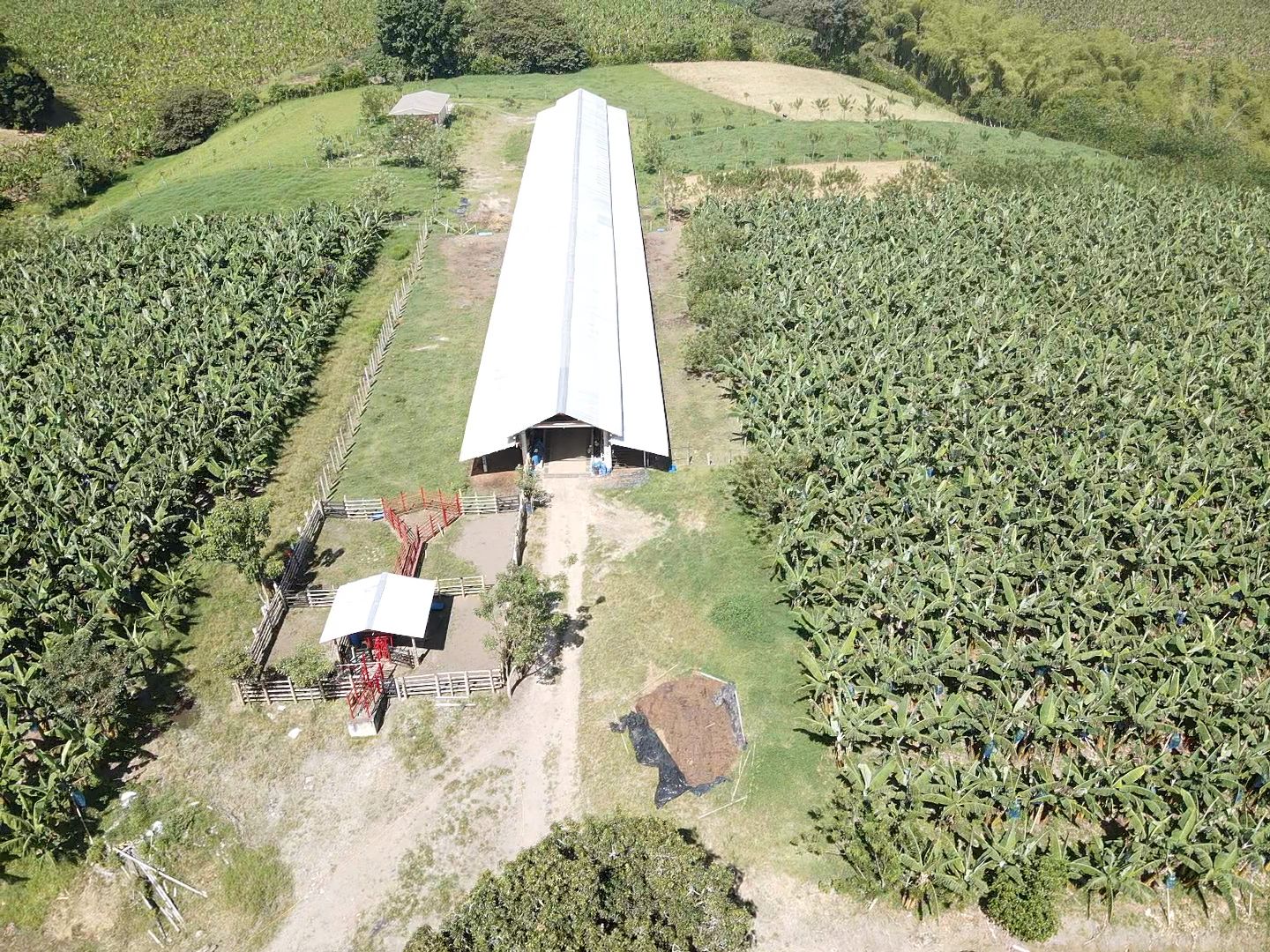 SE VENDE FINCA EN MONTENEGRO 8..jpeg