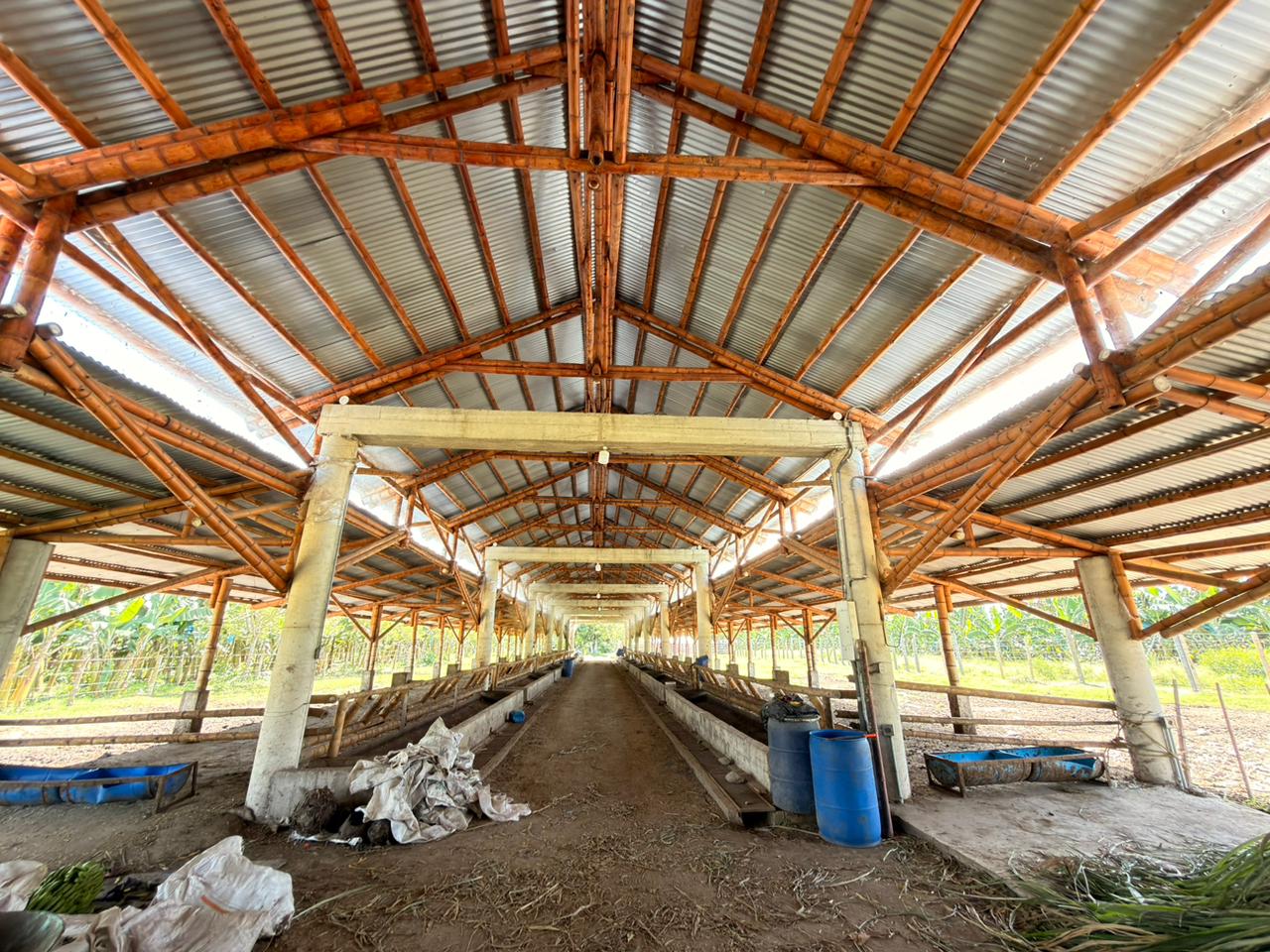 SE VENDE FINCA EN MONTENEGRO 10..jpeg