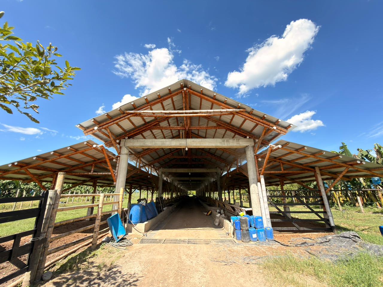 SE VENDE FINCA EN MONTENEGRO 9..jpeg