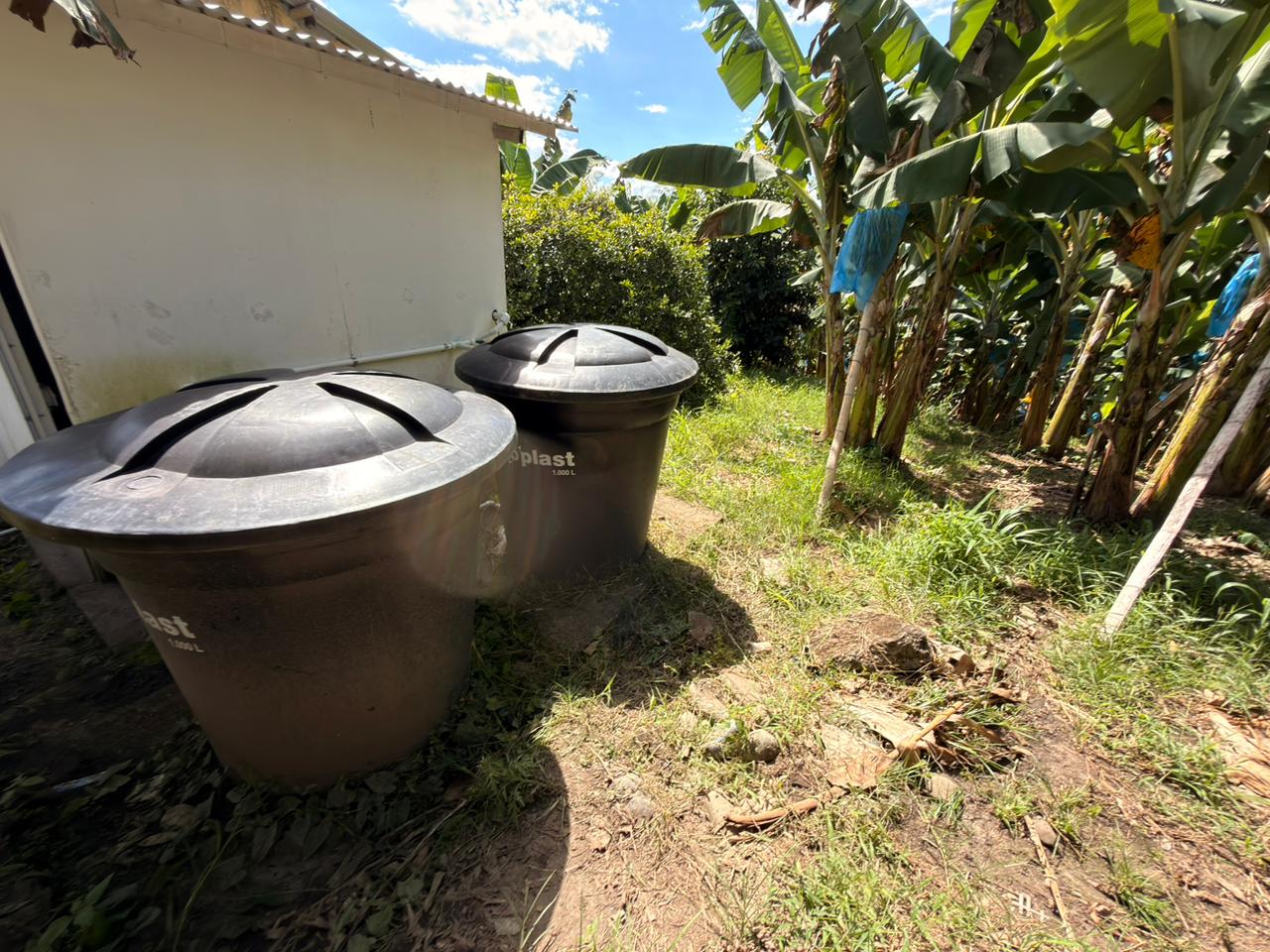 SE VENDE FINCA EN MONTENEGRO 14..jpeg