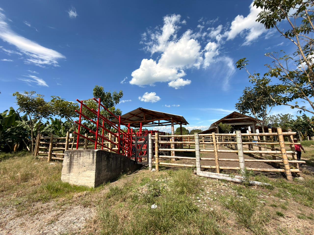 SE VENDE FINCA EN MONTENEGRO 15..jpeg