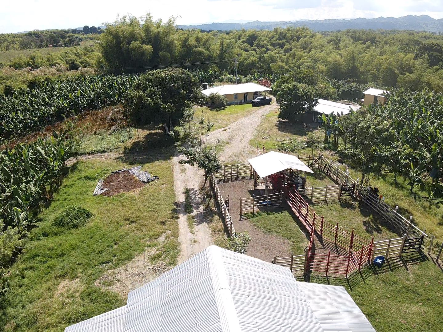 SE VENDE FINCA EN MONTENEGRO 20..jpeg