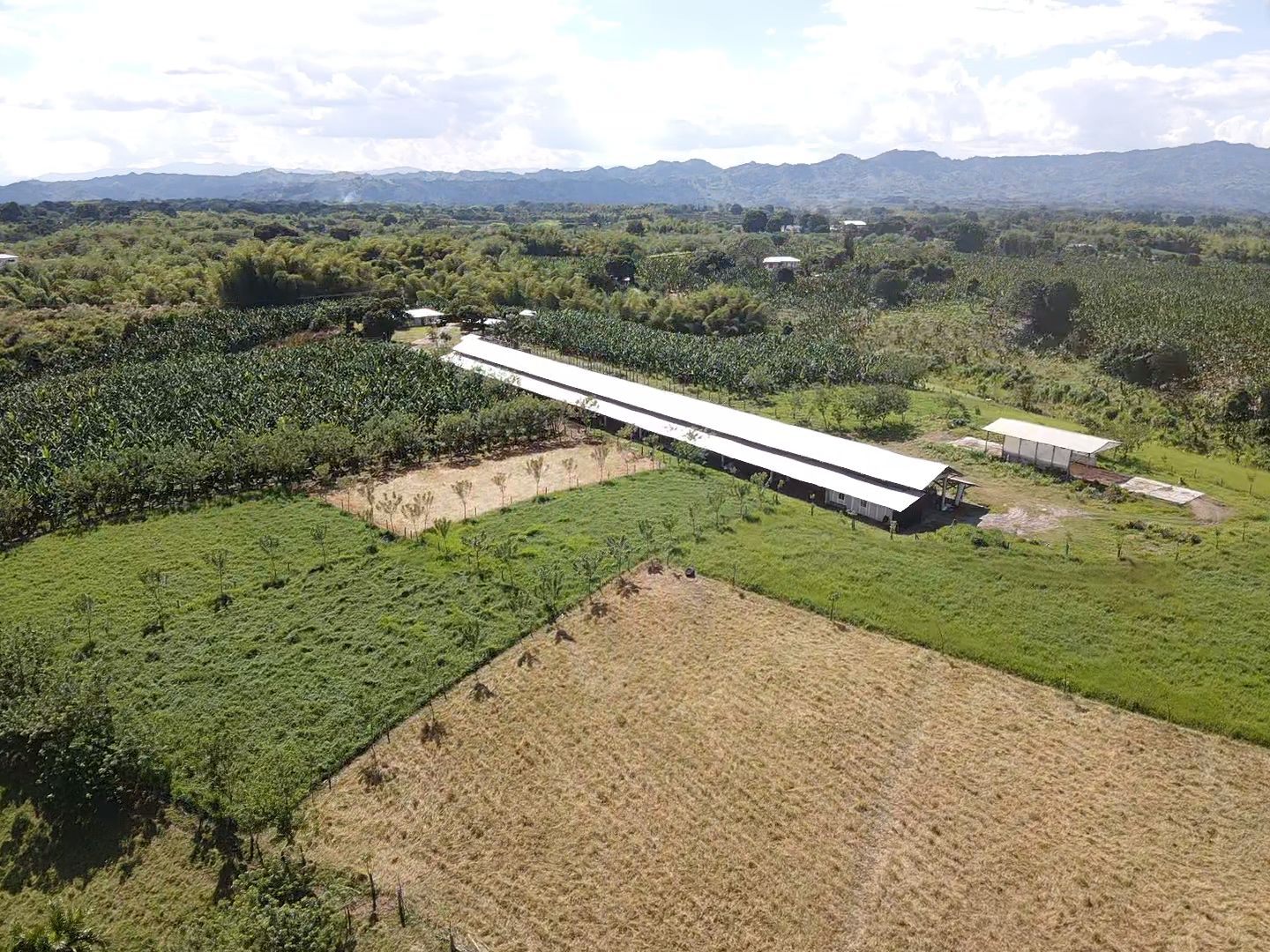 SE VENDE FINCA EN MONTENEGRO 25..jpeg