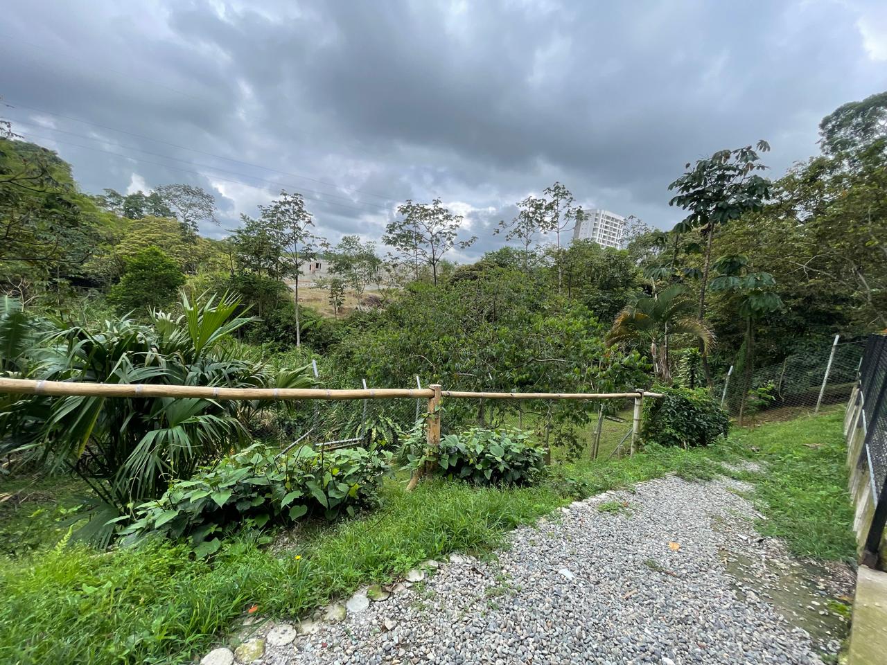 APARTAESTUDIO MATTIZ (19).jpg