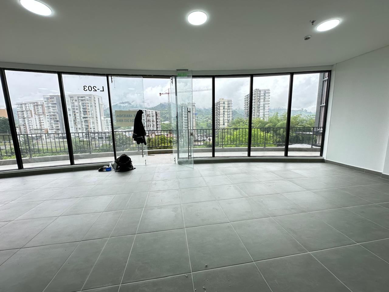 local zonata 11.jpeg