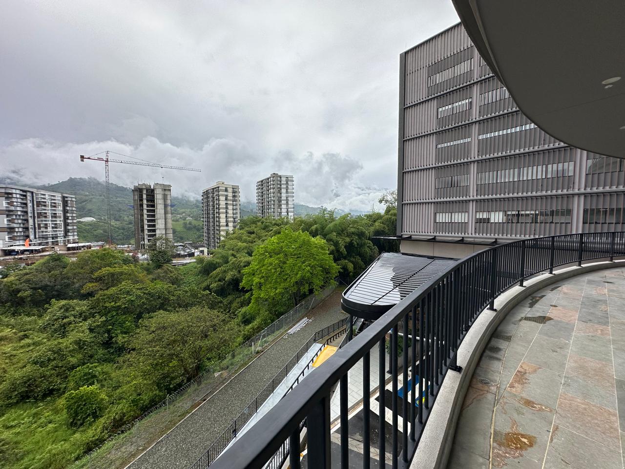 local zonata 15.jpeg