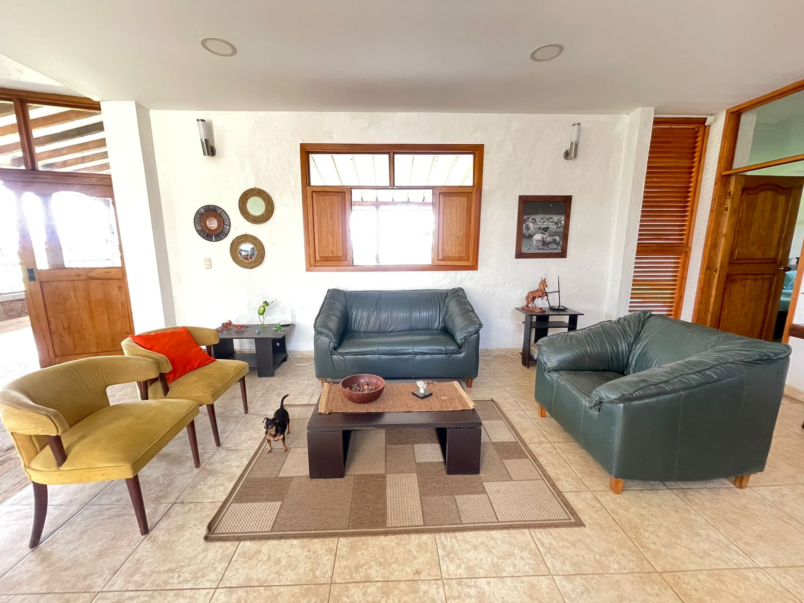 SE VENDE FINCA EN MONTENEGRO 9..jpg