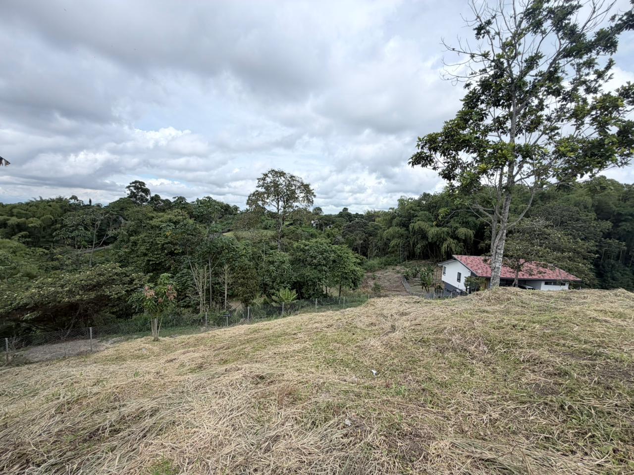 SE VENDE LOTE EN CIRCASIA  4..jpeg