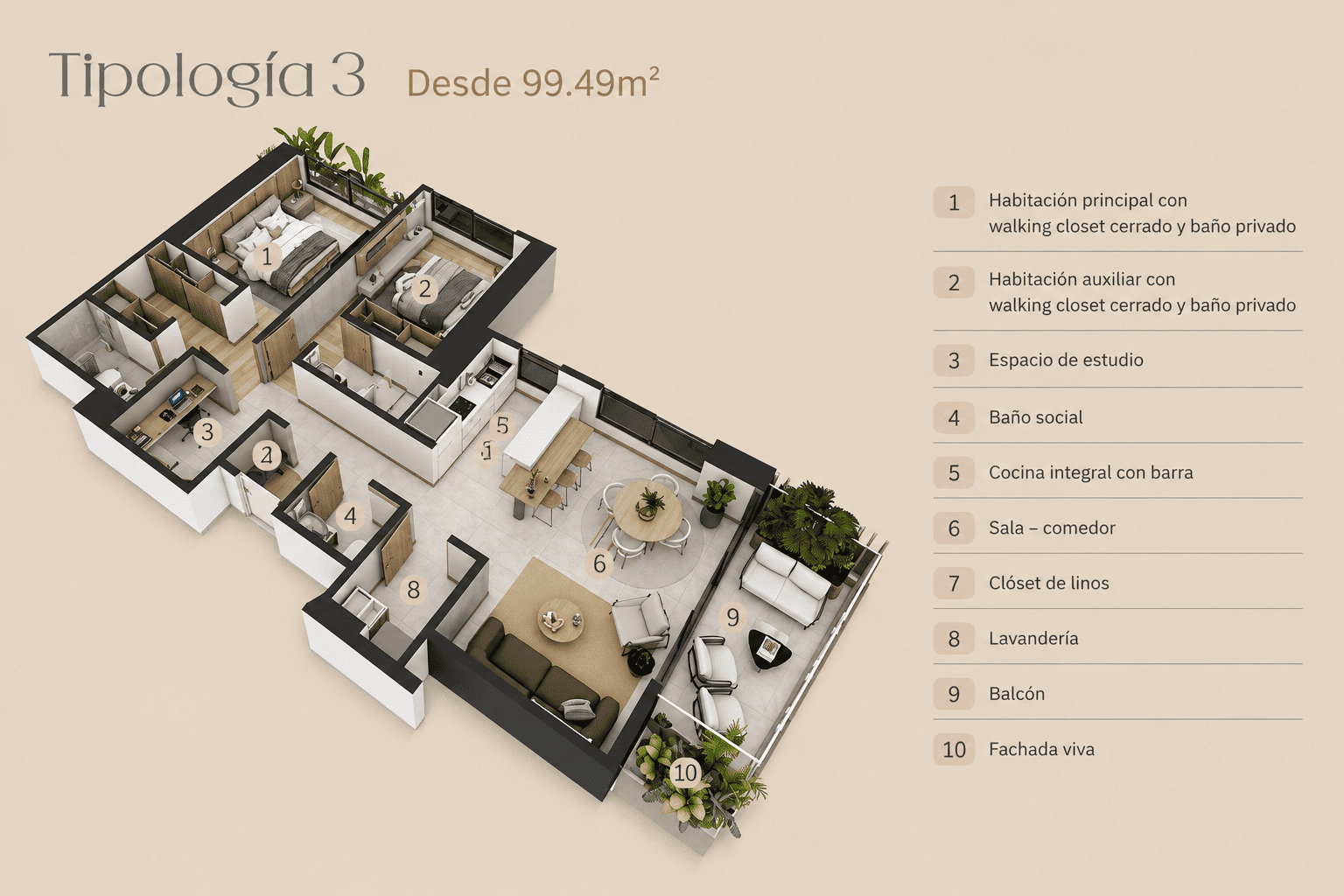 MUCURA 8..png