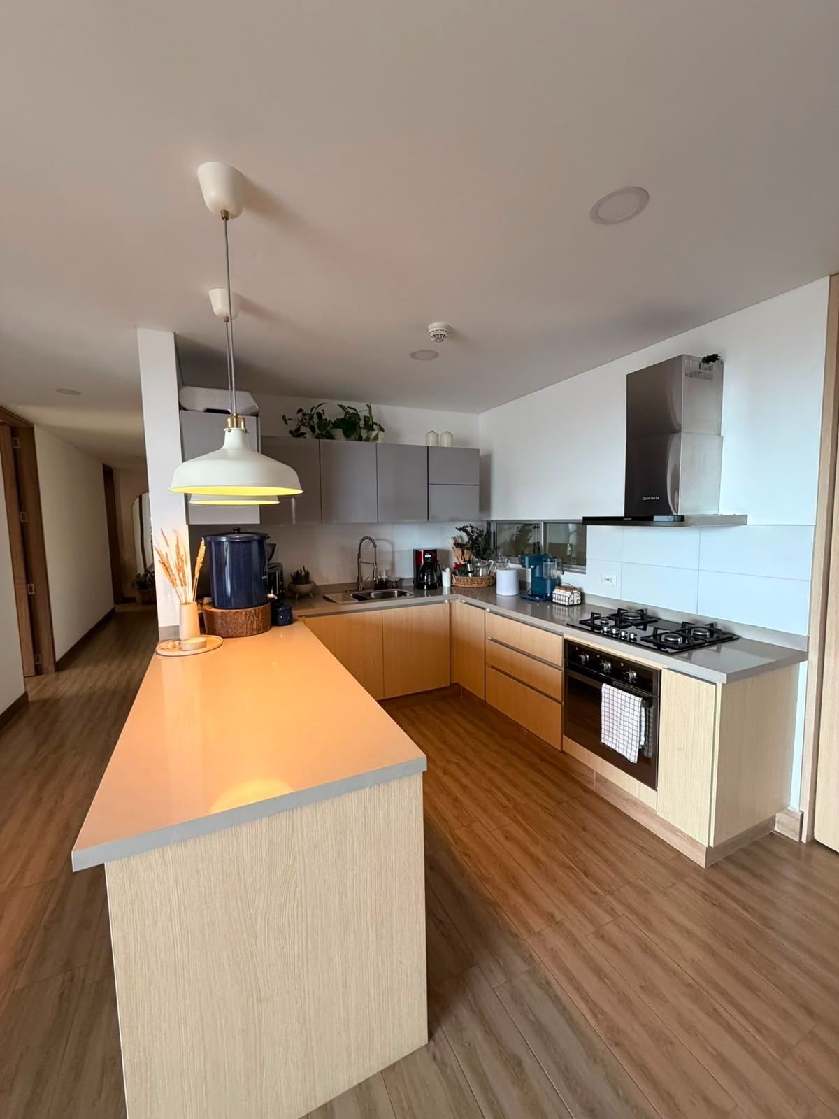 SE VENDE APARTAMENTO EN LA CASTELLANA  2..jpeg