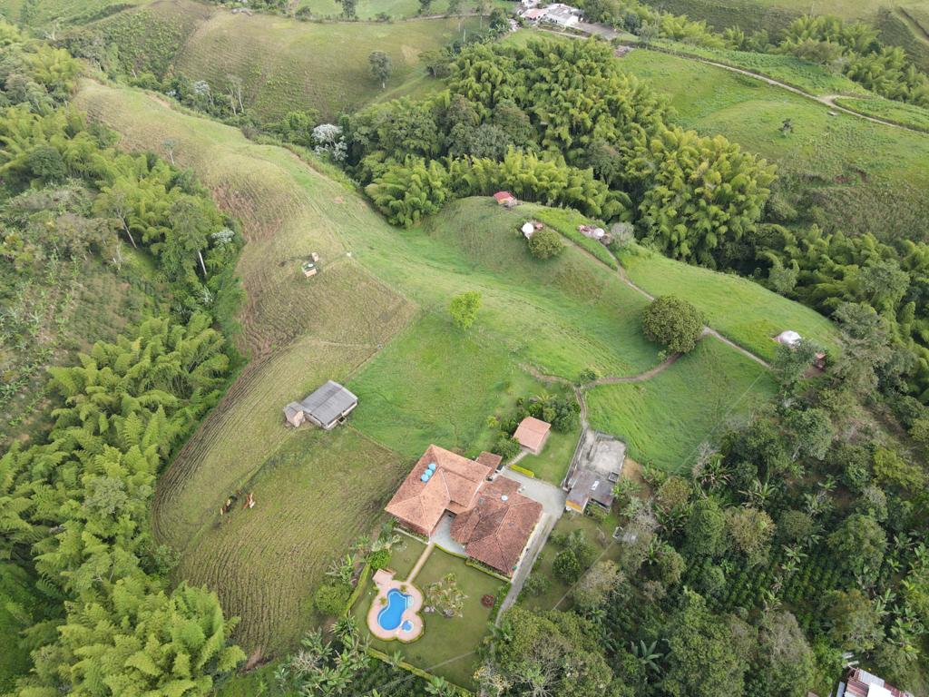 WhatsApp Image 2021-06-04 at 9.30.23 AM (3).jpeg