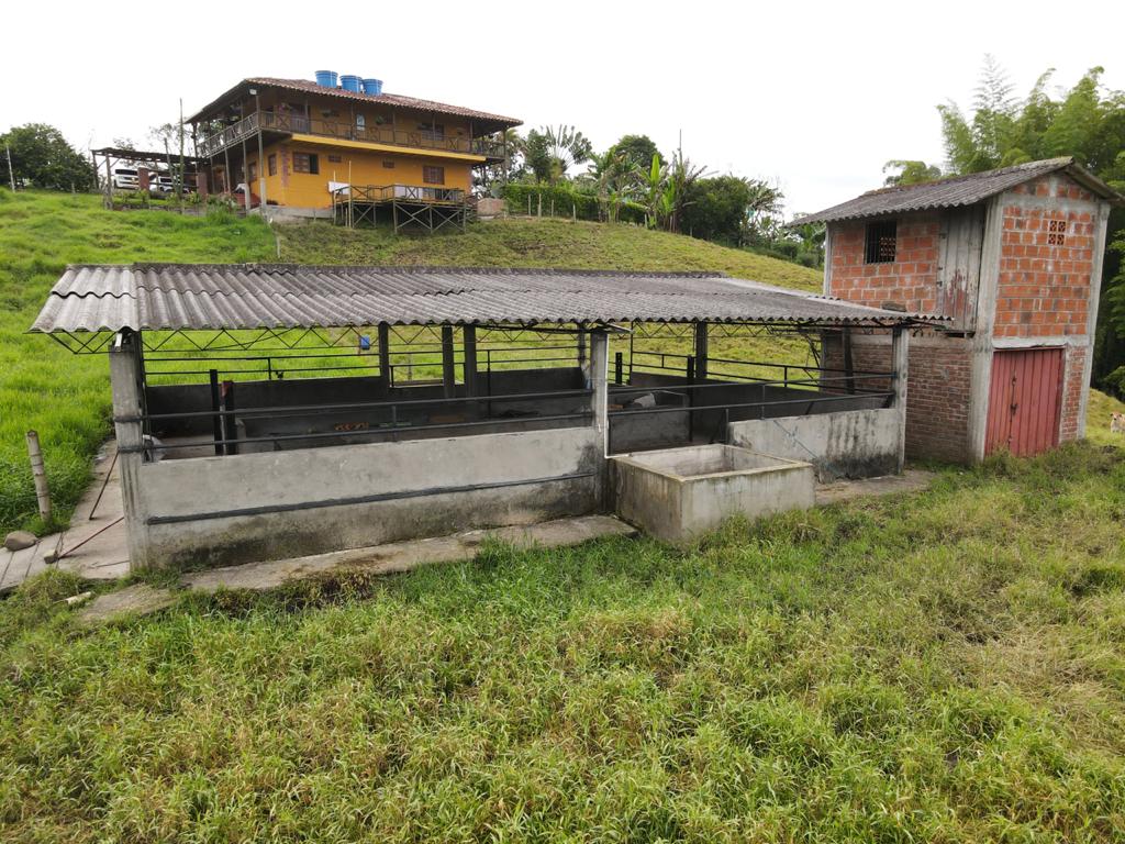 WhatsApp Image 2021-06-04 at 9.30.23 AM (5).jpeg