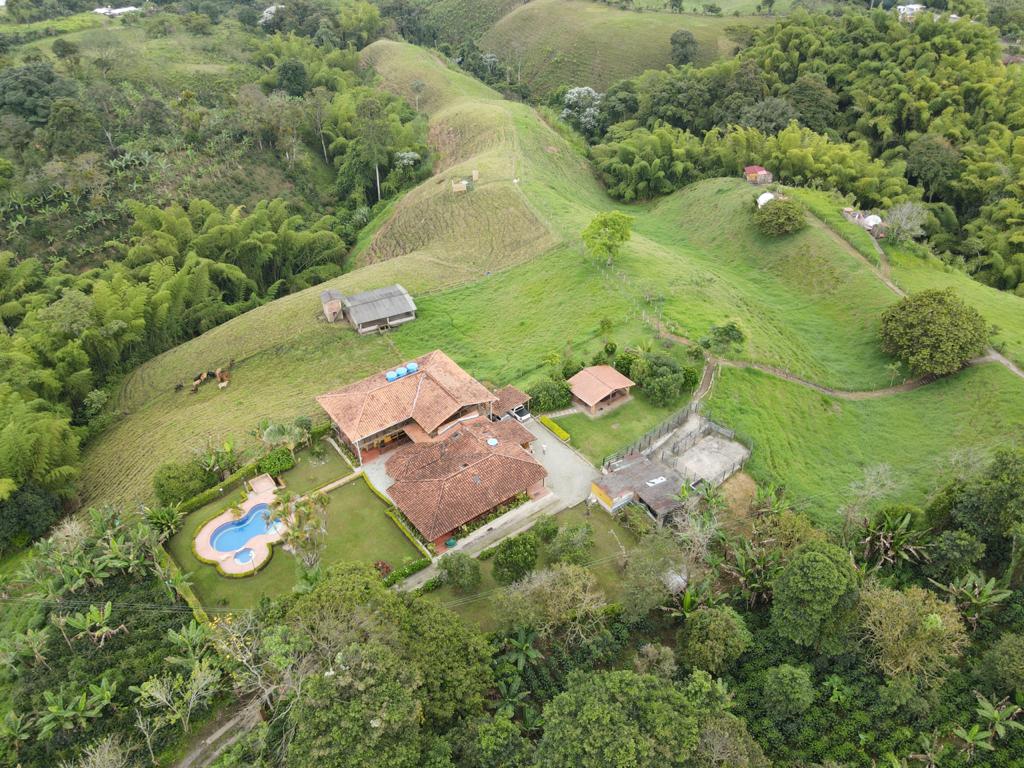 WhatsApp Image 2021-06-04 at 9.30.27 AM (3).jpeg