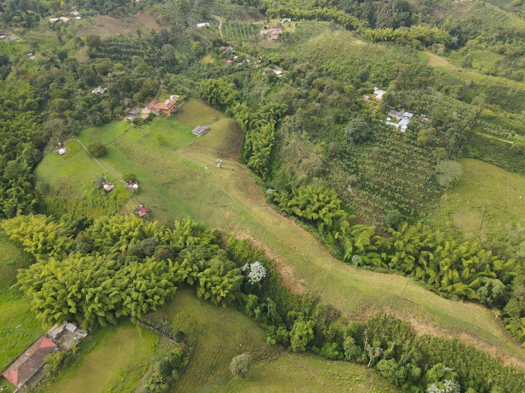 WhatsApp Image 2021-06-04 at 9.30.23 AM (4).jpeg