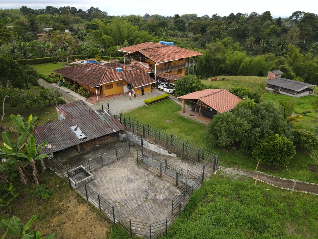 WhatsApp Image 2021-06-04 at 9.30.27 AM (2).jpeg