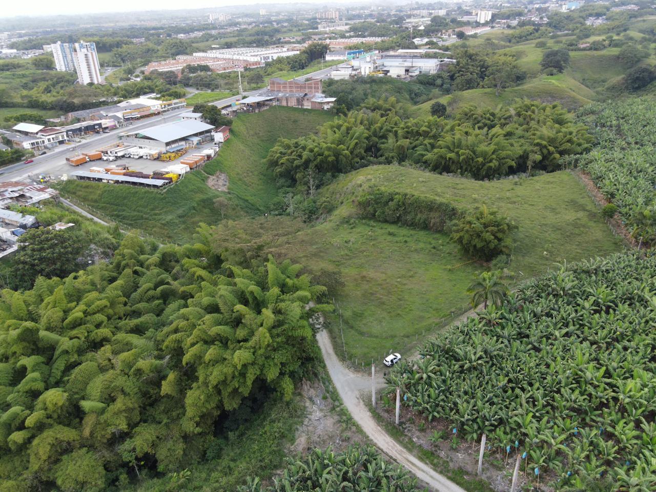 d205eea5-de6c-4f54-810a-ecfc1cb59eae.jpg