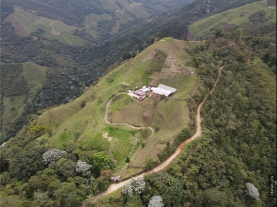 Finca para venta en el municipio de Salento Quindío (7)