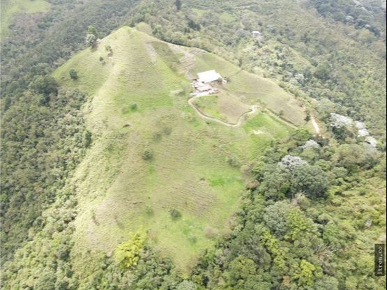 Finca para venta en el municipio de Salento Quindío (12)