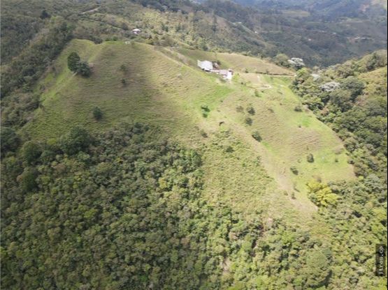 Finca para venta en el municipio de Salento Quindío (16)
