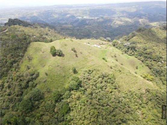Finca para venta en el municipio de Salento Quindío (18)