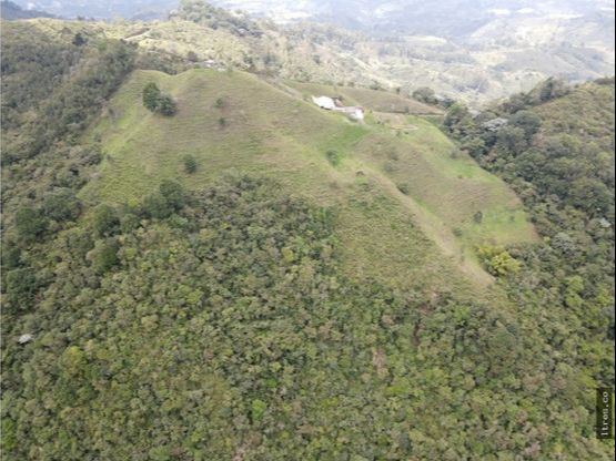 Finca para venta en el municipio de Salento Quindío (20)