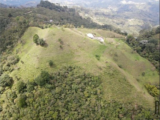 Finca para venta en el municipio de Salento Quindío (21)
