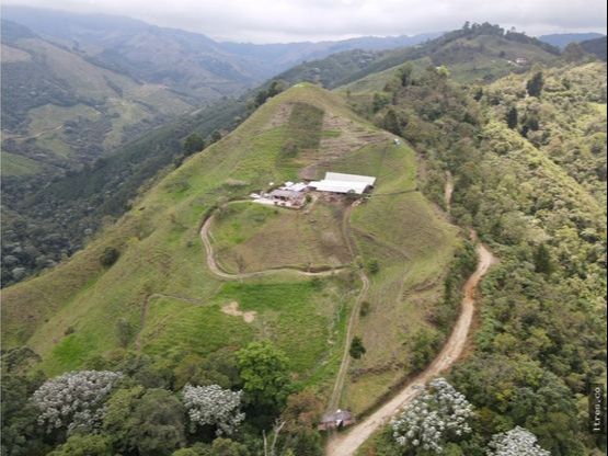 Finca para venta en el municipio de Salento Quindío (2)