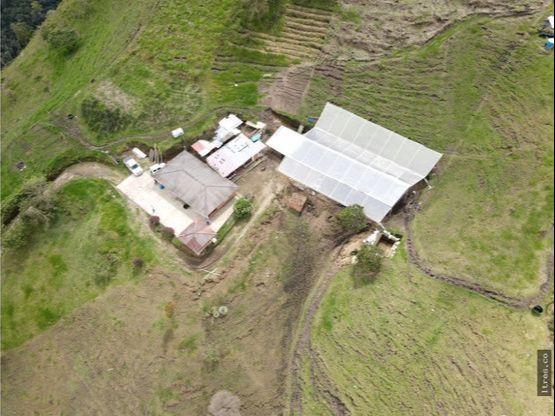 Finca para venta en el municipio de Salento Quindío (2)