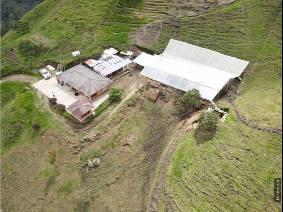 Finca para venta en el municipio de Salento Quindío (3)