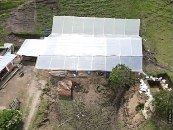 Finca para venta en el municipio de Salento Quindío (4)