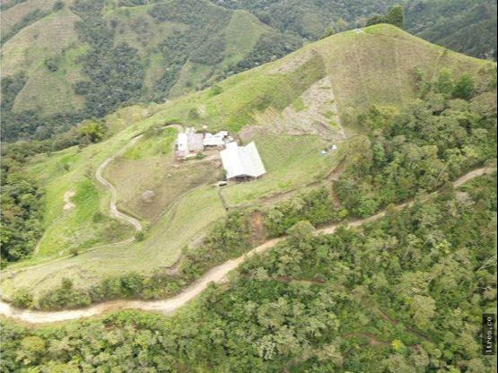 Finca para venta en el municipio de Salento Quindío (6)
