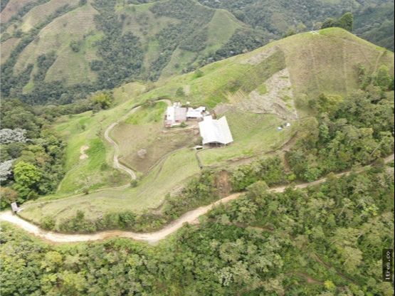 Finca para venta en el municipio de Salento Quindío (8)
