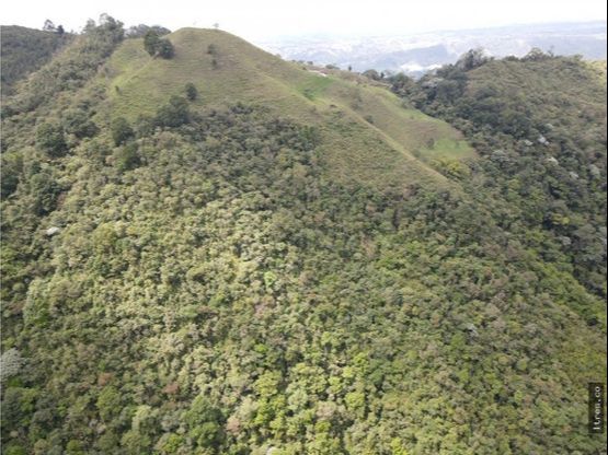Finca para venta en el municipio de Salento Quindío (22)