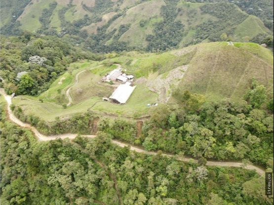 Finca para venta en el municipio de Salento Quindío (10)