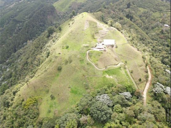 Finca para venta en el municipio de Salento Quindío (13)