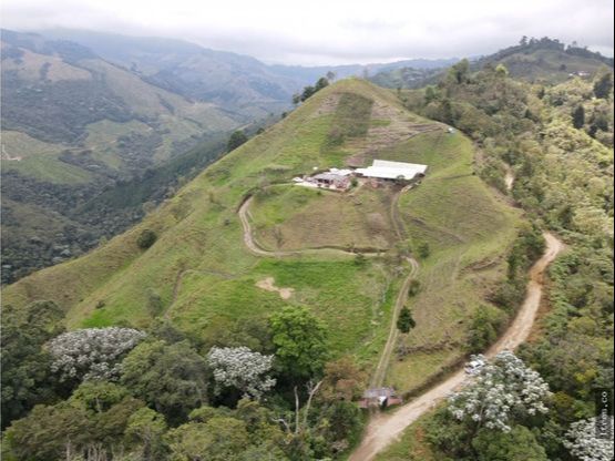 Finca para venta en el municipio de Salento Quindío (1)