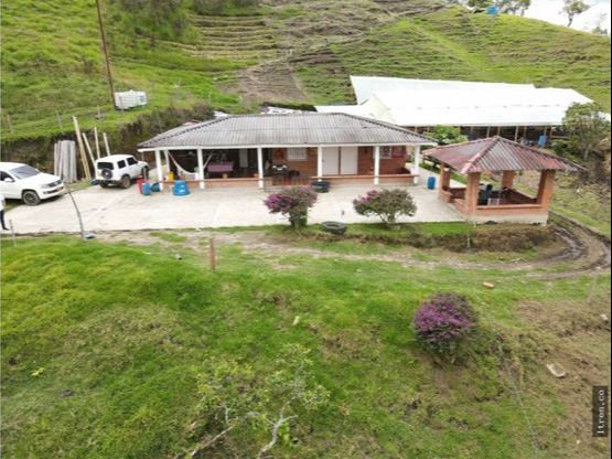 Finca para venta en el municipio de Salento Quindío (5)